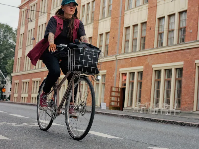 Pelago Airisto Commuter Bike in Pearl Rosa-1