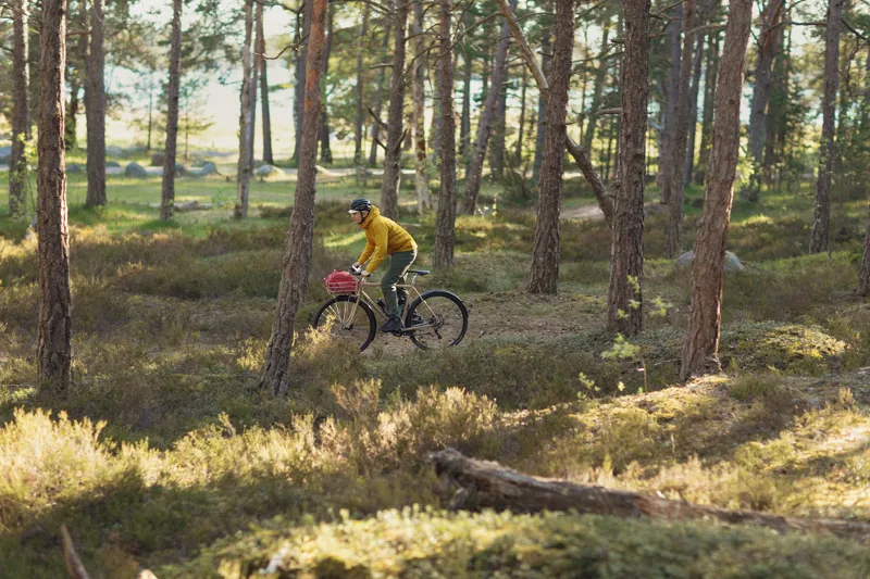 Pelago Hanko Outback Dynamo Bike in Charcoal-5